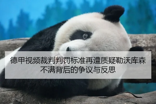 德甲视频裁判判罚标准再遭质疑勒沃库森不满背后的争议与反思