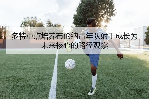 多特重点培养布伦纳青年队射手成长为未来核心的路径观察